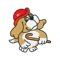 Illustration Animals Illustration Animals