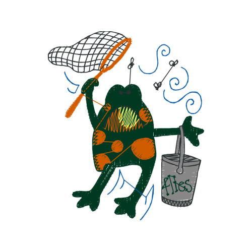 Illustration Animals Illustration Animals