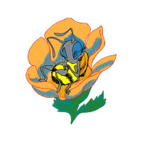 Illustration Animals