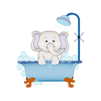 Illustration Animals