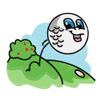 Illustration Animals