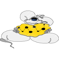 Illustration Animals