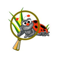 Illustration Animals