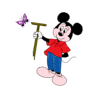 Illustration Animals