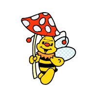 Illustration Animals