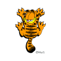 Illustration Animals