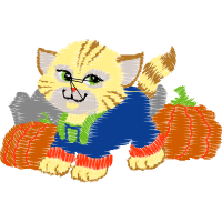 Illustration Animals