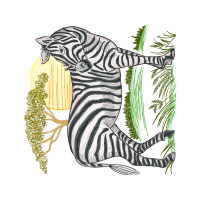 Illustration Animals