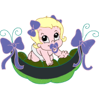 Illustration Animals Illustration Animals