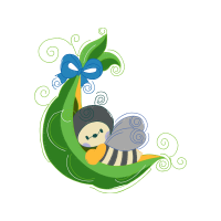 Illustration Animals