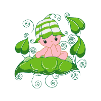 Illustration Animals