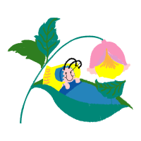 Illustration Animals