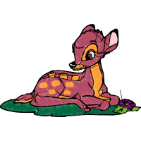 Illustration Animals