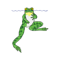 Illustration Animals