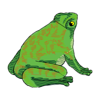 Illustration Animals