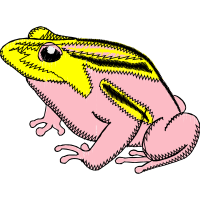 Illustration Animals