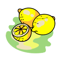 Illustration Animals