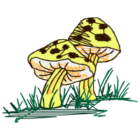 Illustration Animals