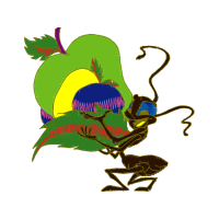 Illustration Animals