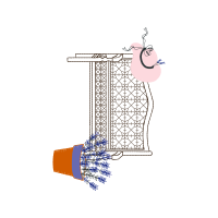 Illustration Animals