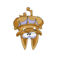 Illustration Animals