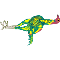 Illustration Animals Illustration Animals