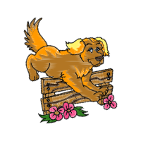 Illustration Animals
