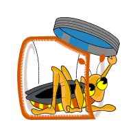 Illustration Animals