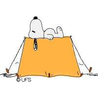Illustration Animals