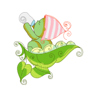 Illustration Animals
