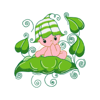 Illustration Animals