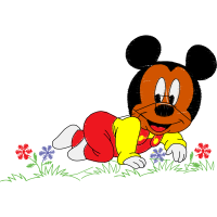 Illustration Animals