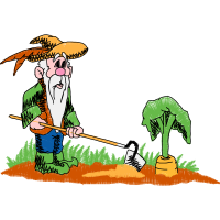 Illustration Animals