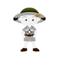 Illustration Animals