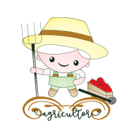 Illustration Animals