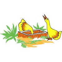 Illustration Animals