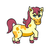 Illustration Animals Illustration Animals