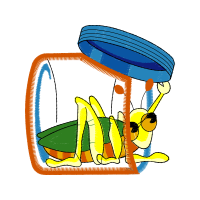 Illustration Animals