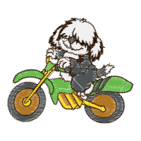 Illustration Animals