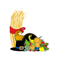 Illustration Animals