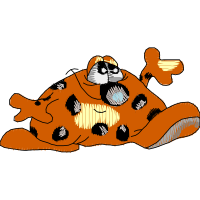 Illustration Animals