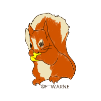 Illustration Animals