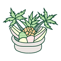 Illustration Animals