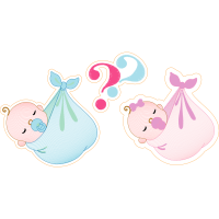 Illustration Animals