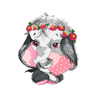 Illustration Animals