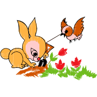 Illustration Animals