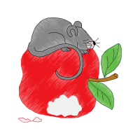 Illustration Animals