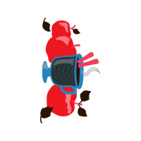Illustration Animals