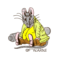 Illustration Animals