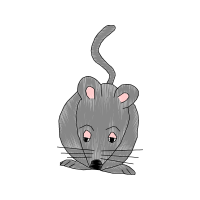 Illustration Animals